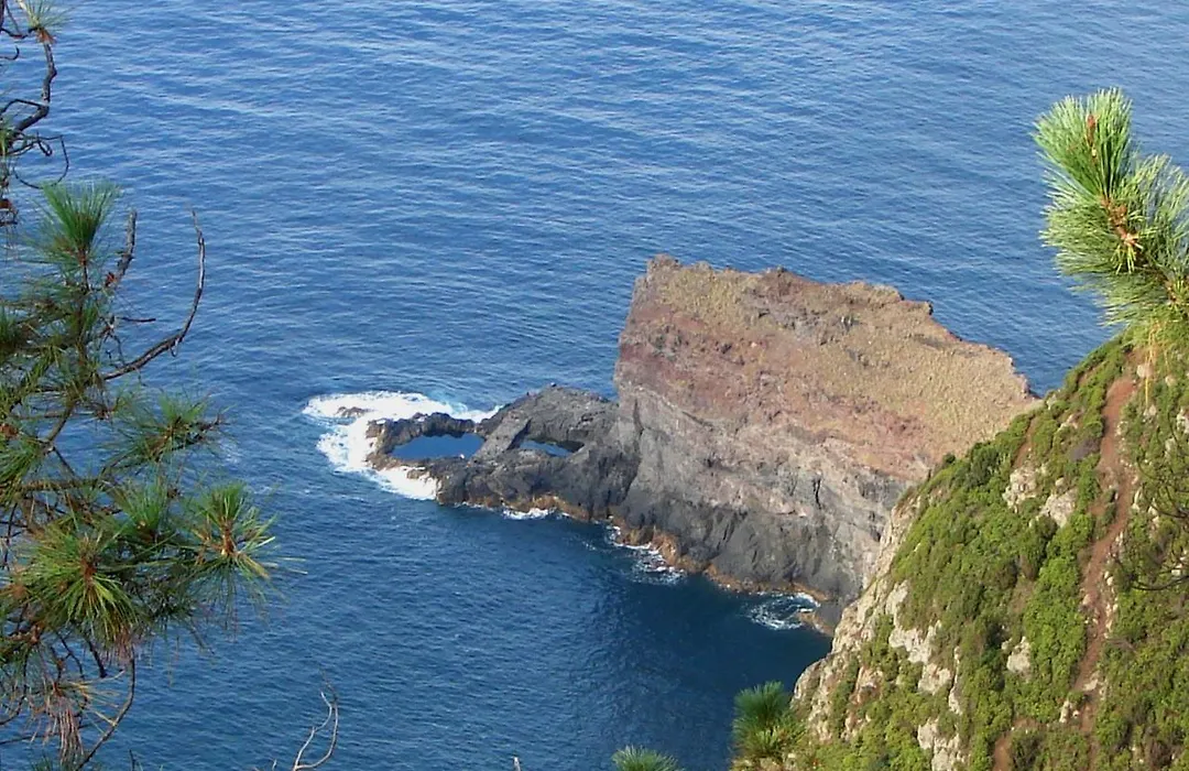 Casa Do Til-1