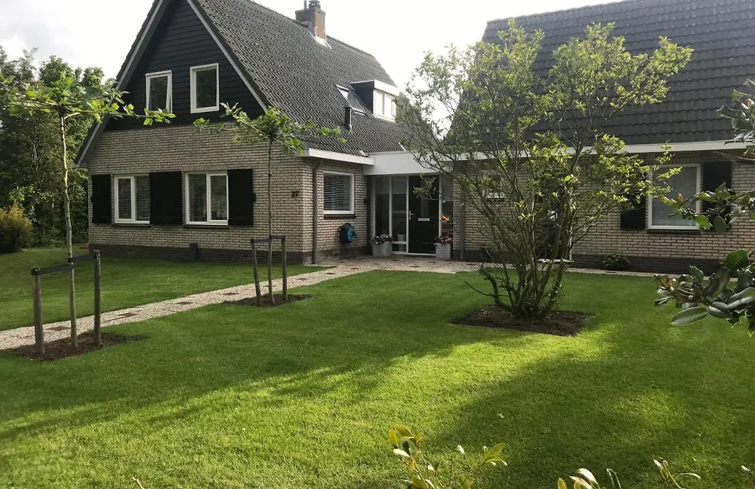 Zilt Texel-1