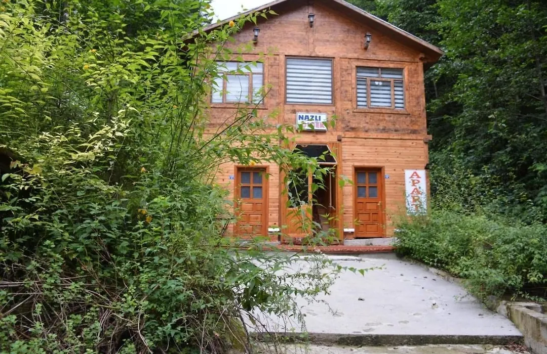 AYDER Nazlı çiçek apart-1