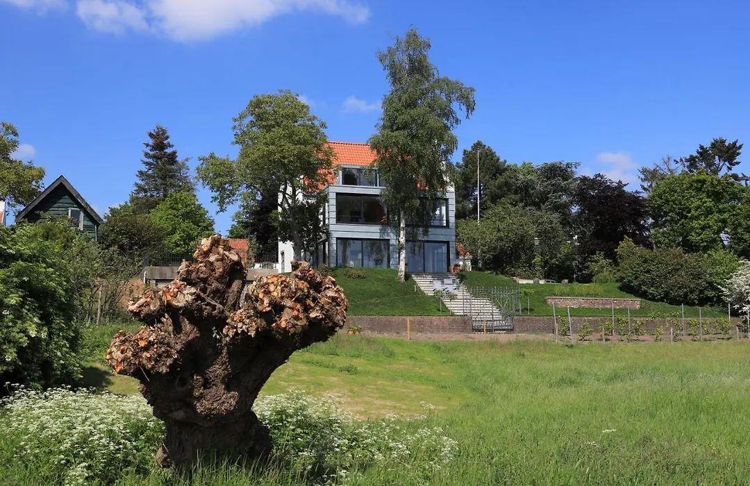 B&B Weids-1