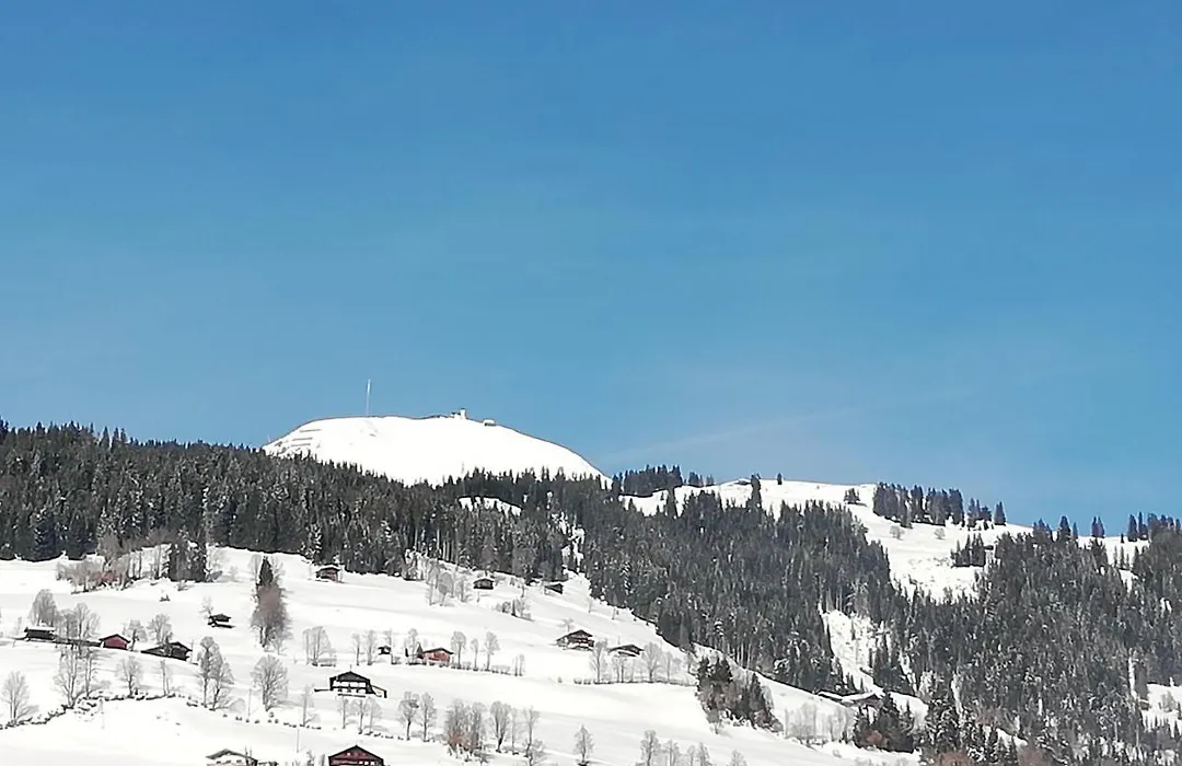 Pension Laerchenbrunn-1