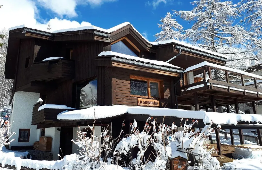La Sauvagine B&B Skis aux pieds-1