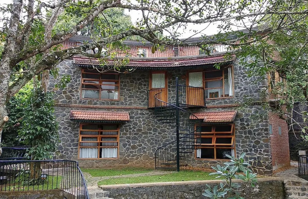 Wildernest-1