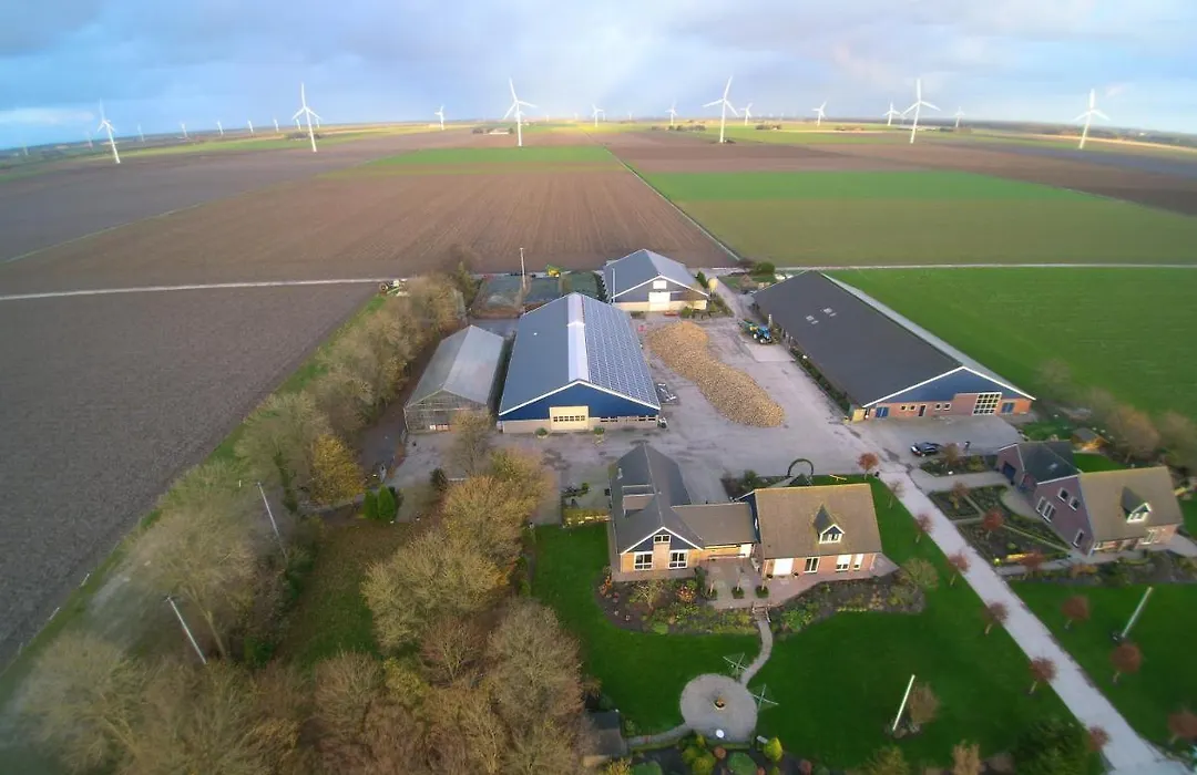 B&B De Kandelaar-1