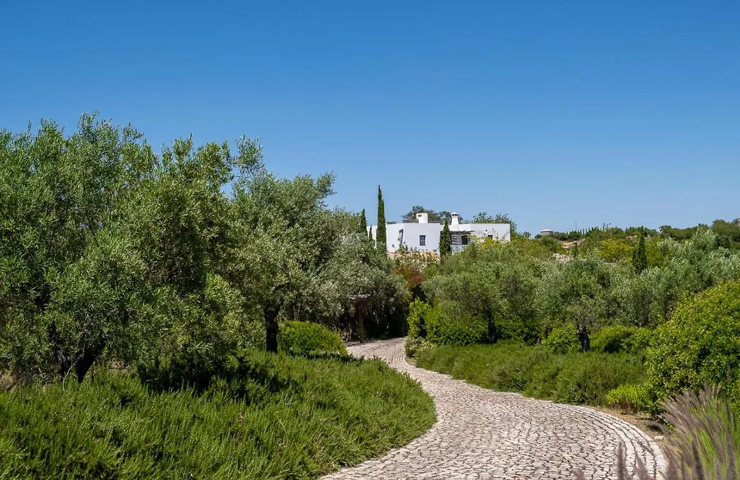 Altanure Casa Terra - Ecological Boutique Stay-1