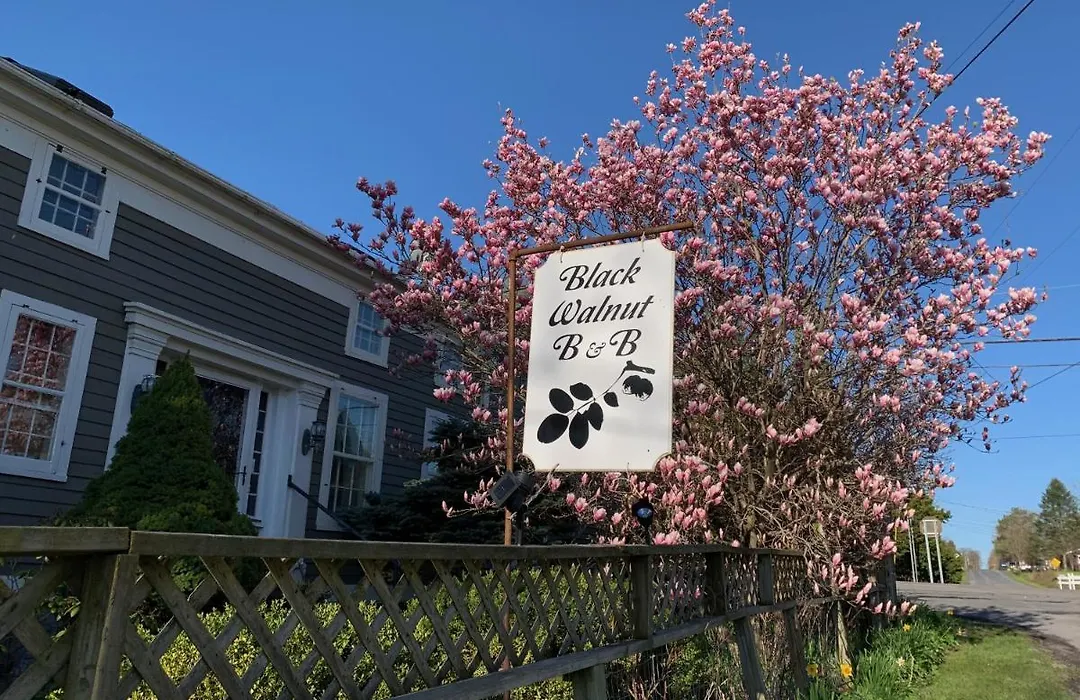Black Walnut Bed And Breakfast-1