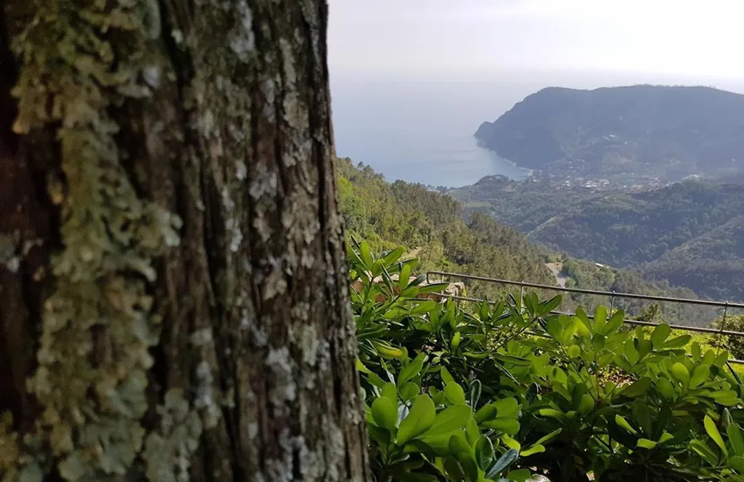 Santuario Ns Soviore Cinque Terre-1