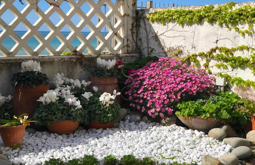 Il Giardino Sul Mare B&B-1