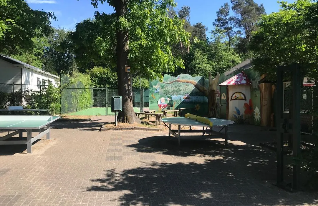 Vakantiepark de zanderij-1