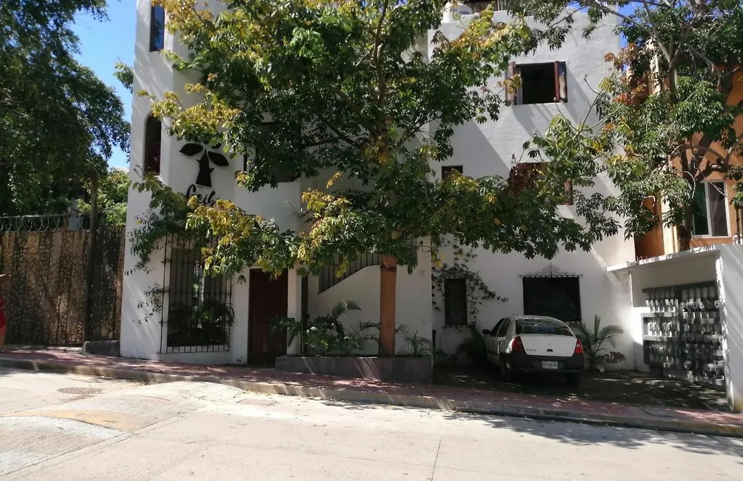 Ceiba Studios-1