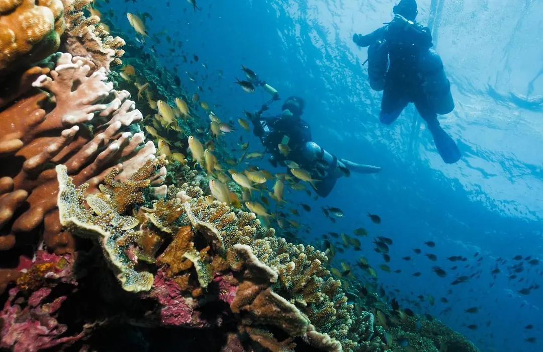 Cebu Seaview Dive Resort-1