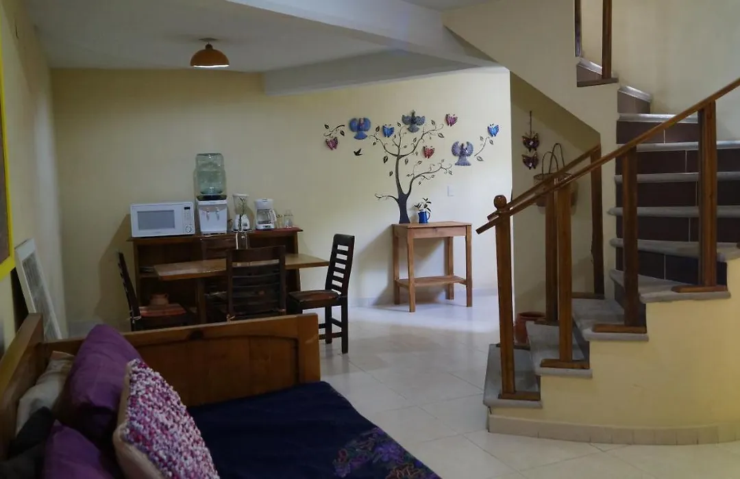J&K Suite-1