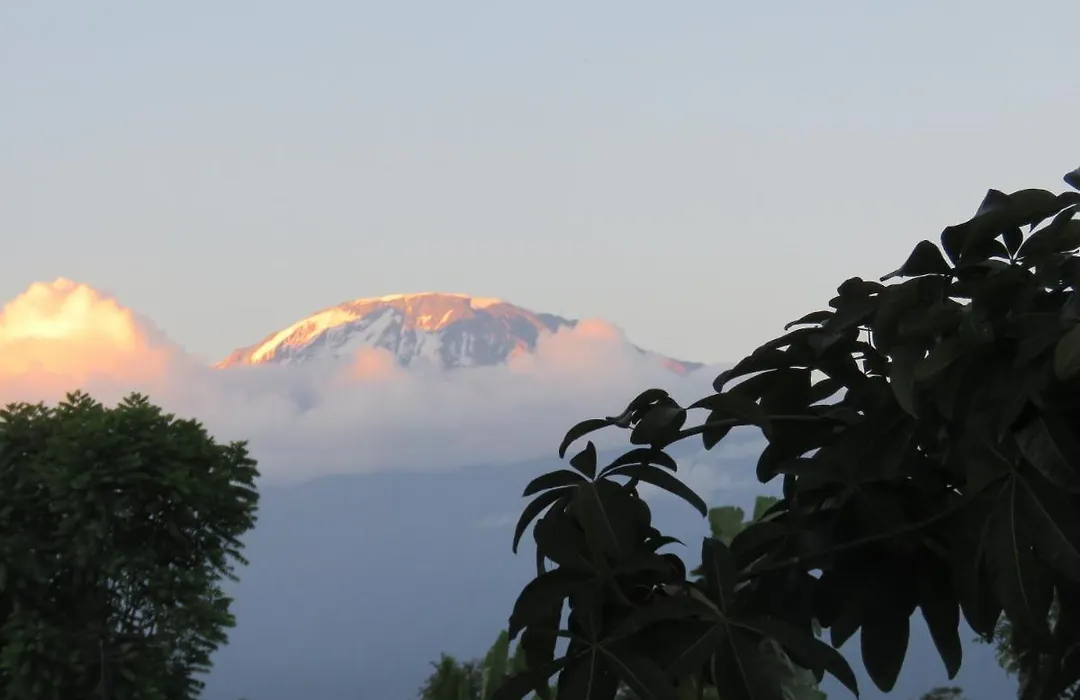 Kilimanjaro White House Hotel-1