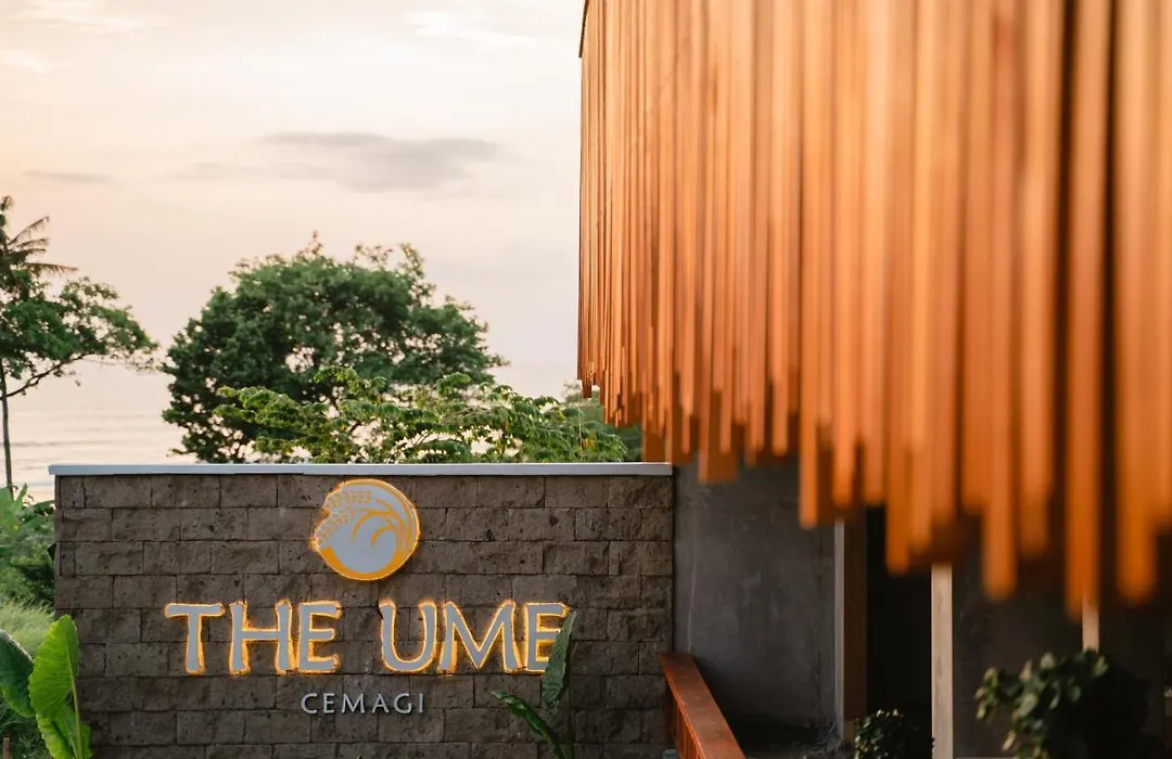 The Ume-1