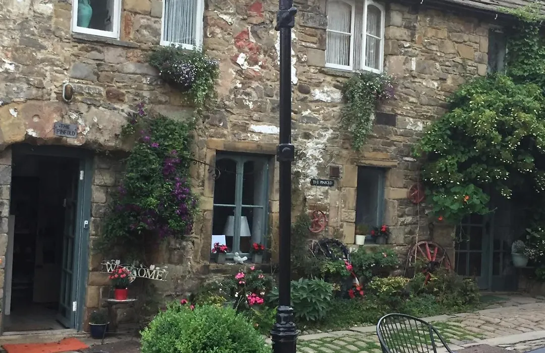The Pinfold-1