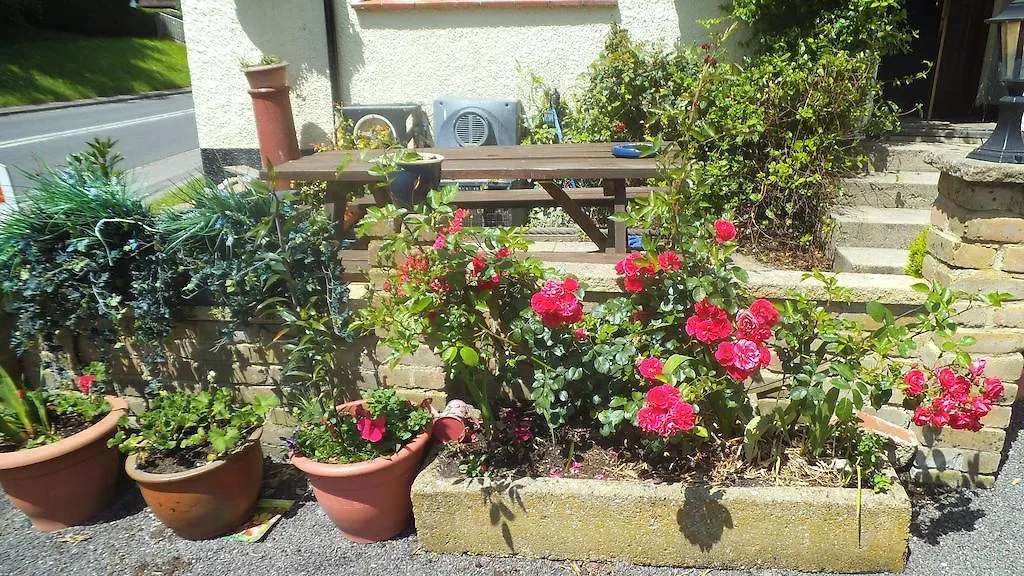 Englands Rose-1