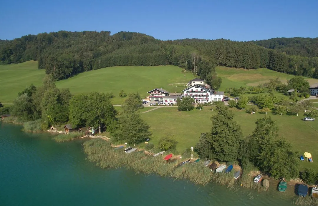 Hotel Garni Dorferwirt am Irrsee-1