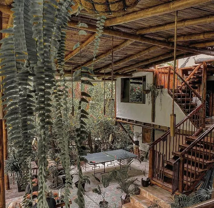 Cinnamon House-1