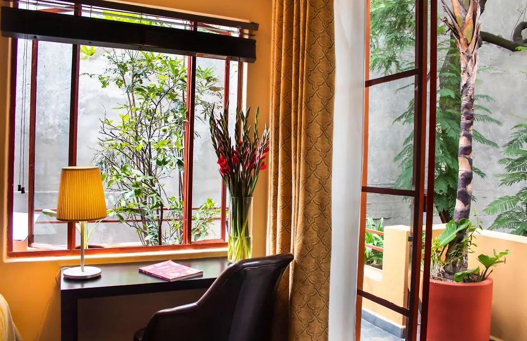 The Red Tree House-1