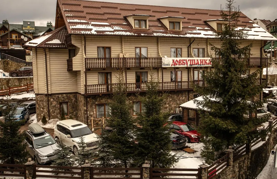 Dovbushanka Hotel-1