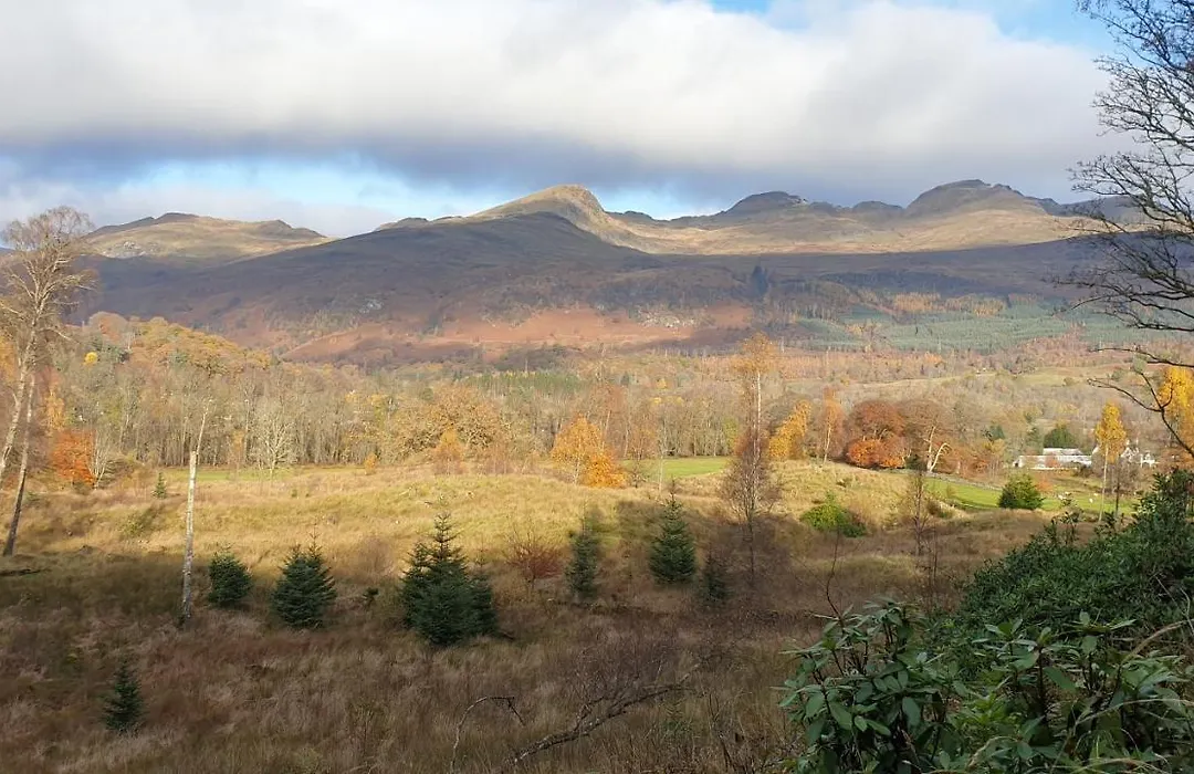 Dall Lodge Country House-1