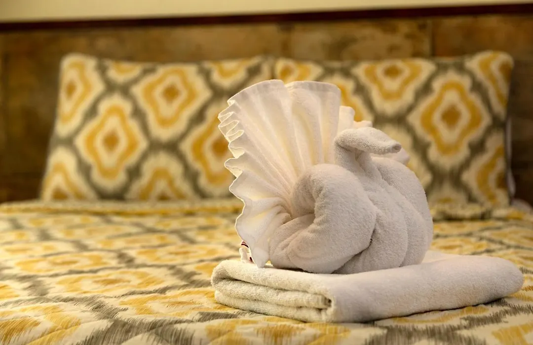 Hotel Amar Inn-1