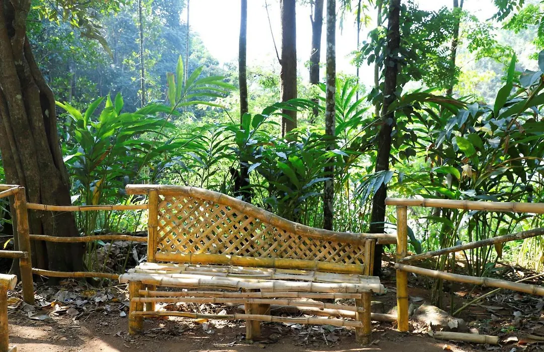 Casillda Munnar-1