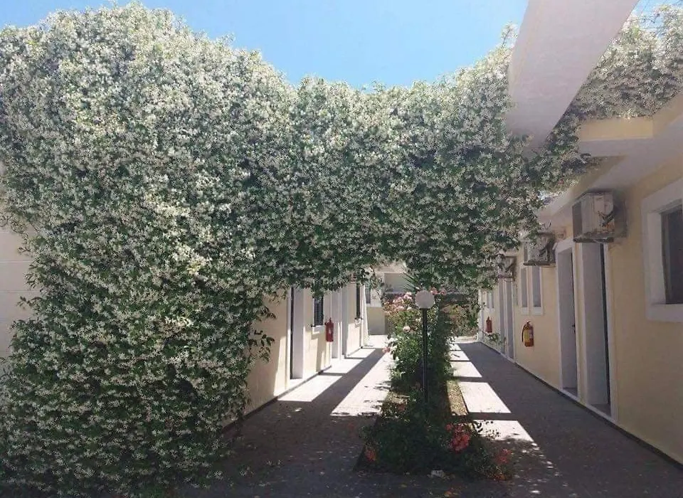 Monika Hotel Sidari-1