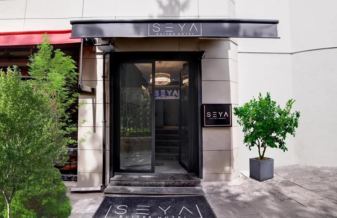 Taksim Seya Suites Hotel-1