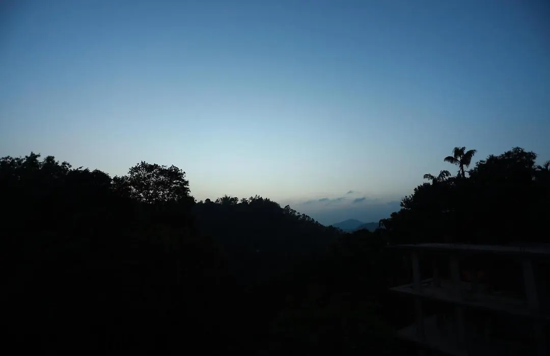Candle Wood Munnar-1