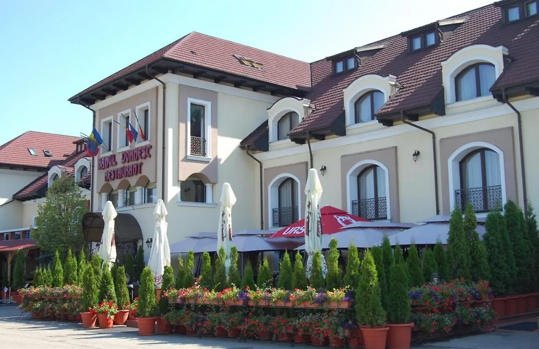 Hanul Domnesc-1