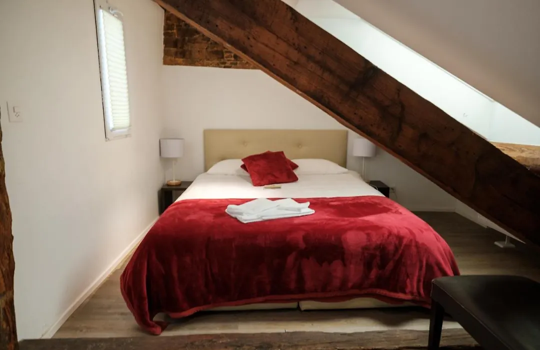 Hotel Du Raisin-1