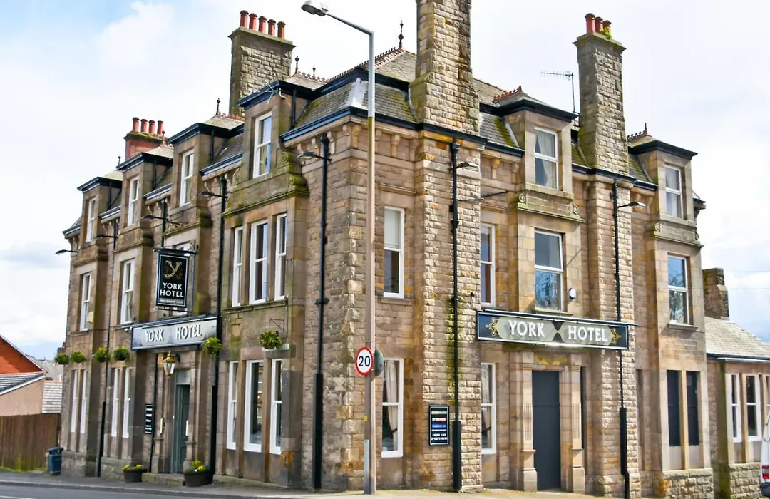 The York-1
