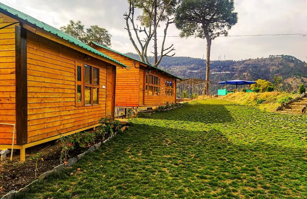 Golden Valley Cottages, Chail-1