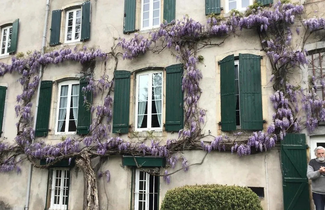 Maison Laclede-1