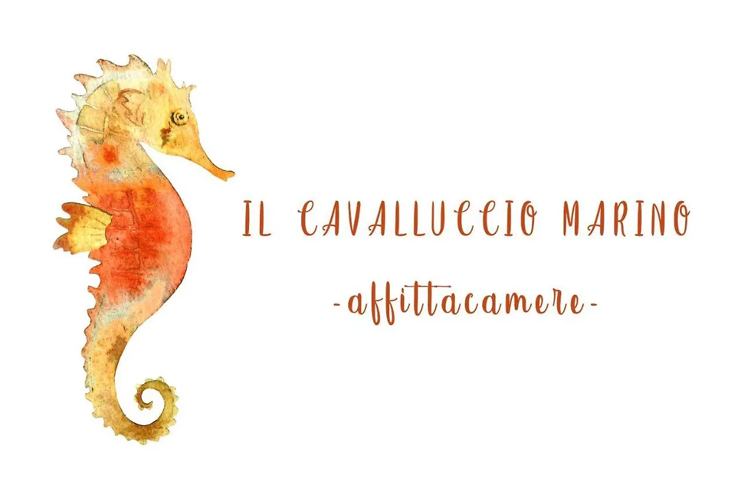 Il Cavalluccio Marino-1