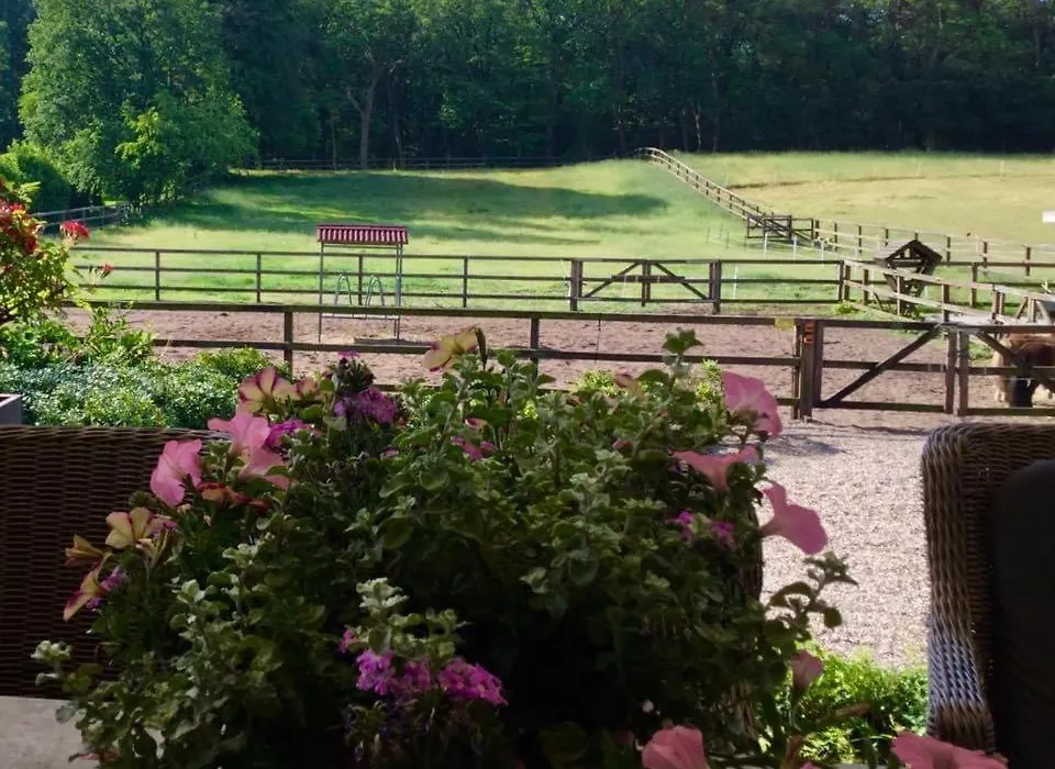 Bed&Breakfast De Paalberg-1