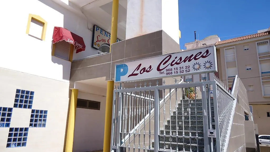 Pension Los Cisnes-1