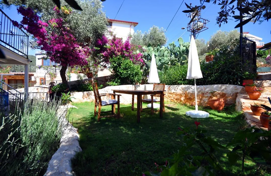 Kaktus Beach Apart-1