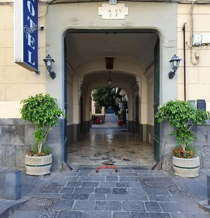 Hotel Fiorentina-1
