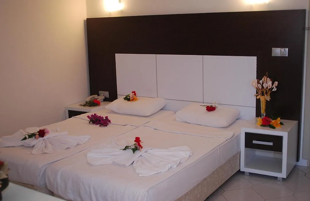 Saritas Hotel Only Family Concept-1