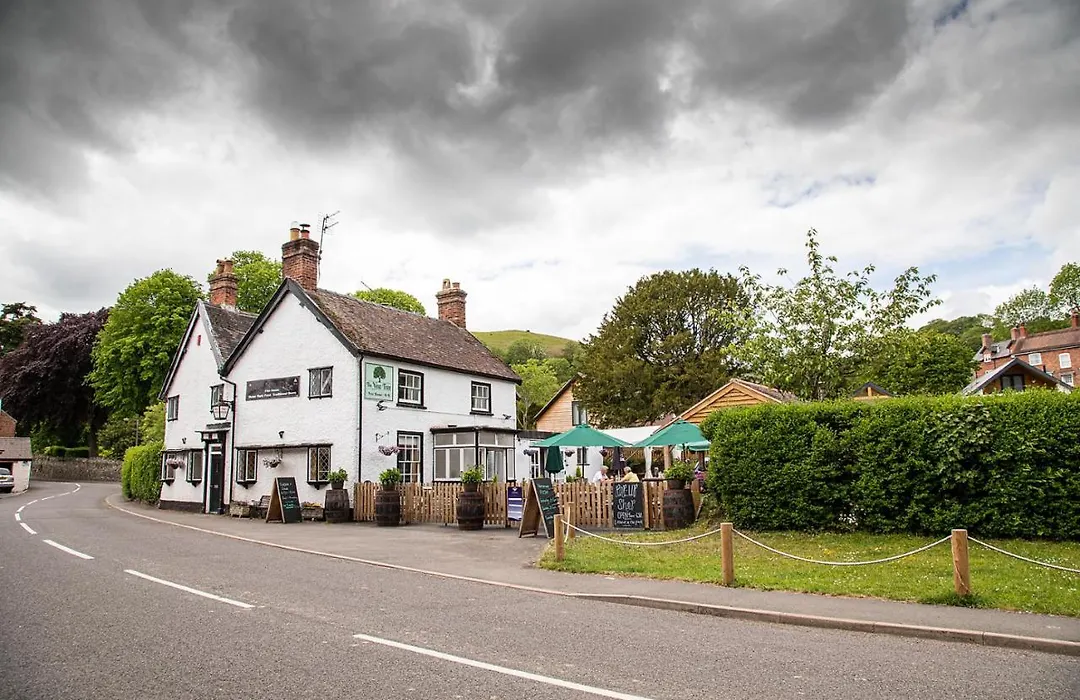 The Yew Tree Inn-1
