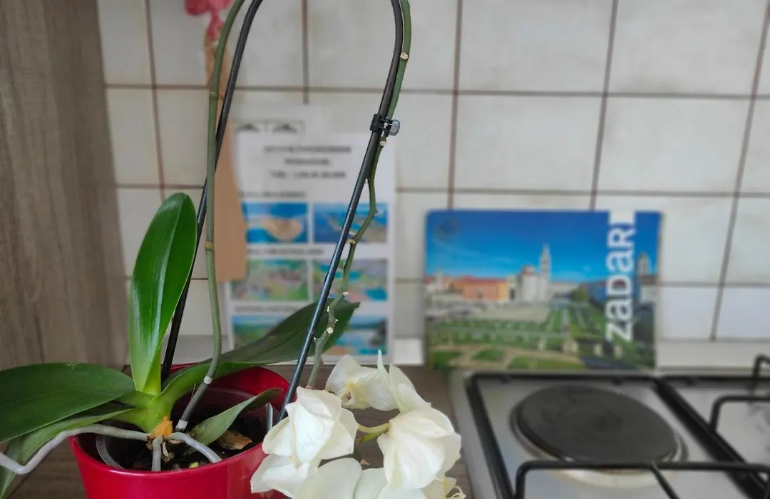 The Nice Dreams Studio Apartment-1