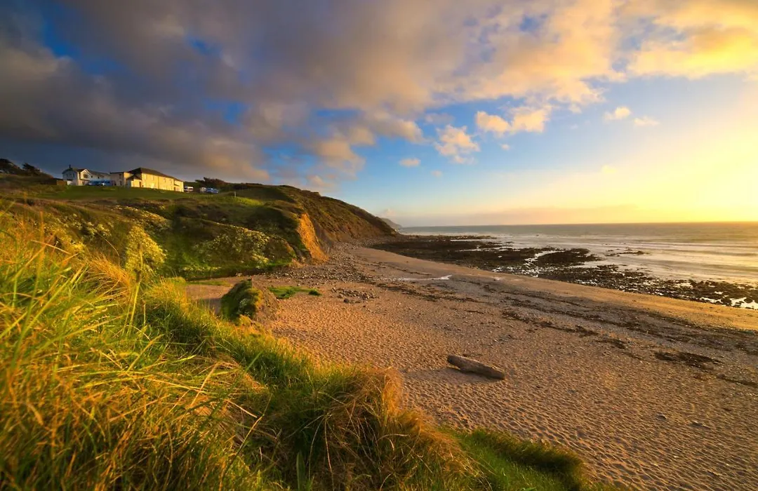 Oa Surf Club-1