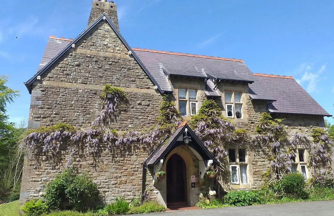 St David'S Guesthouse-1
