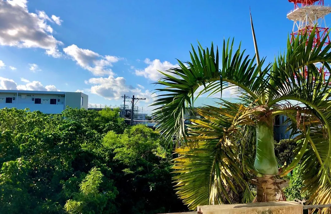 猫のいる宿happy Island Miyako-Catfriendlyguesthouse-1