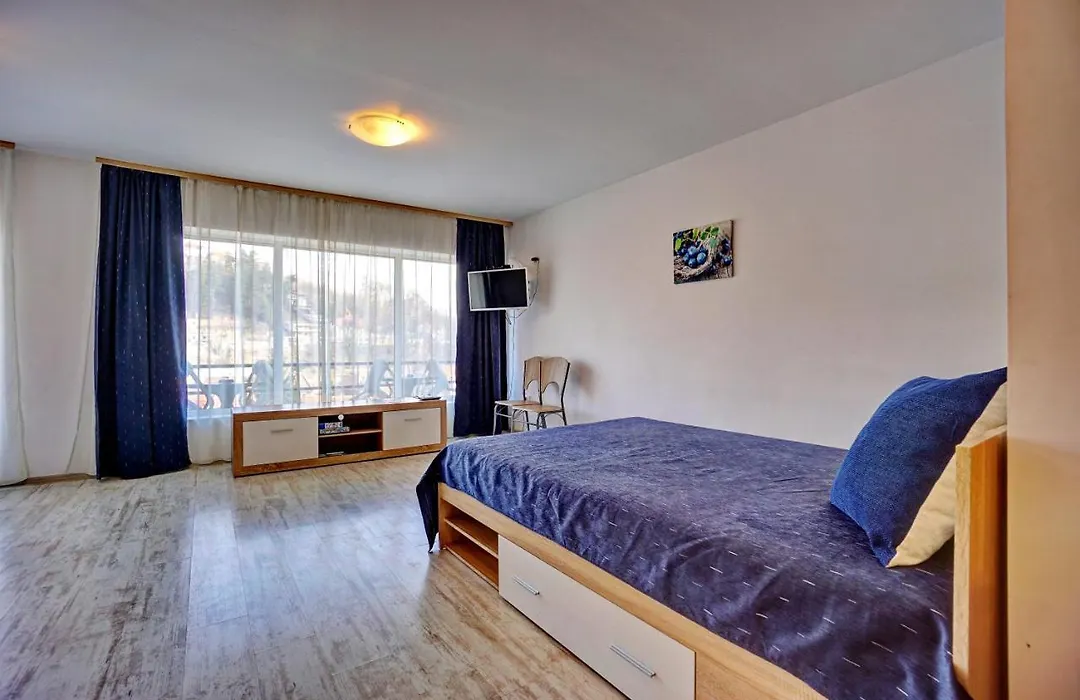 Vila Alba Brasov-1