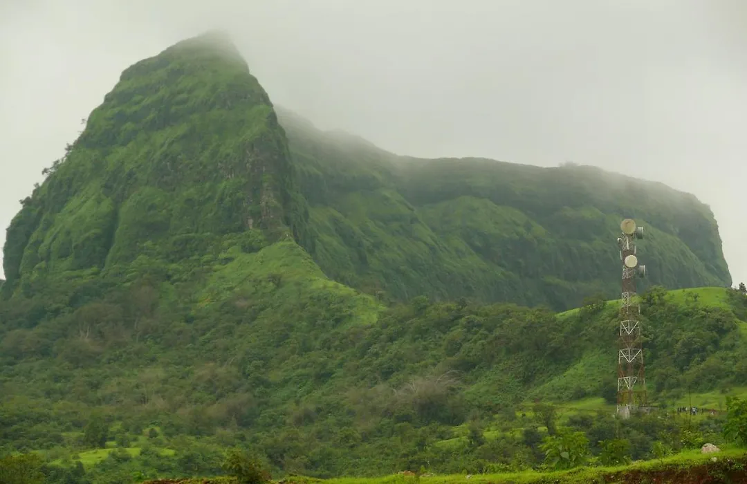 Green Fog Guesthouse-1