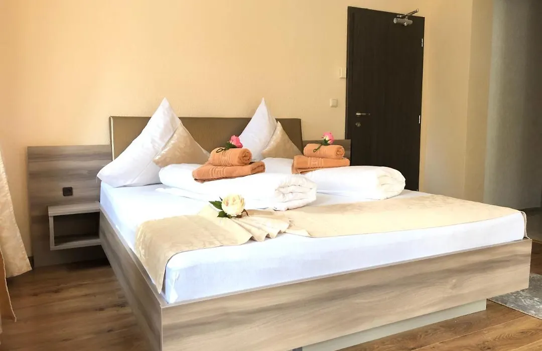 Pension Goldenes Vogtland-1