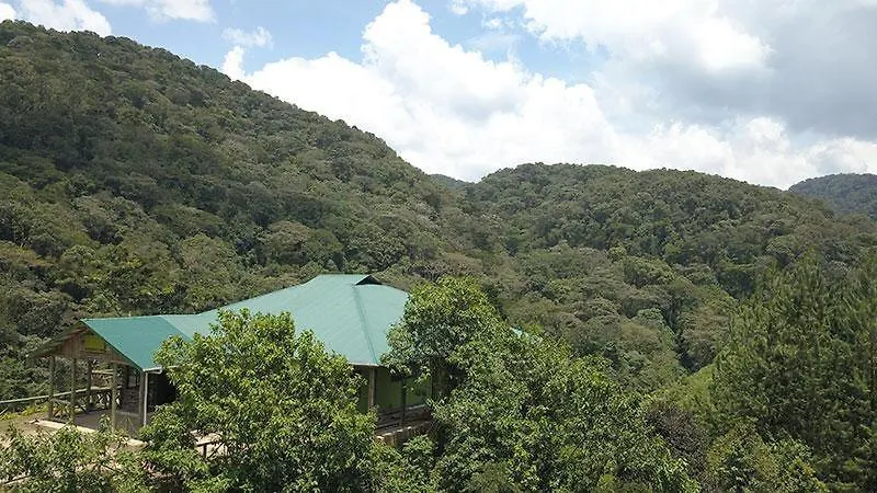 Gorilla Hills Eco-Lodge-1